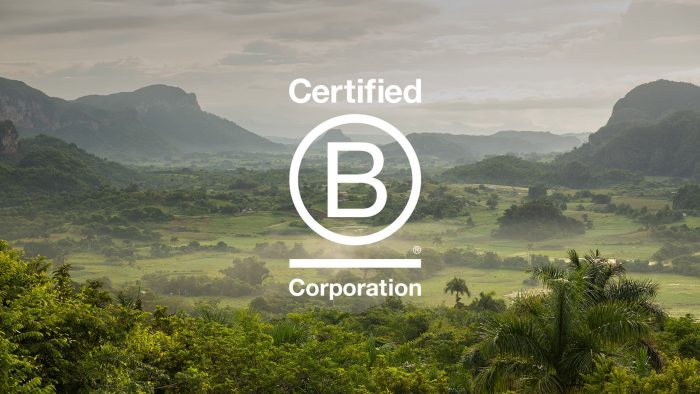 Certified B Corperation Image with Green Forest in Background